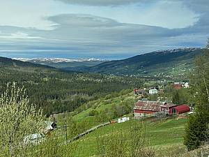 Blick aus der Rørosbahn in Norwegen