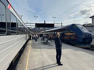 Zwei Züge im Bahnhof von Dombås