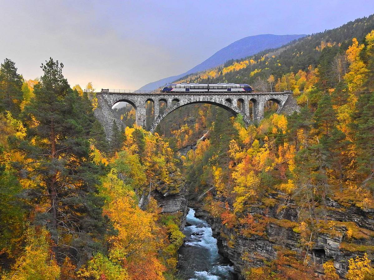 Ein Zug fährt auf der Raumabahn in Norwegen