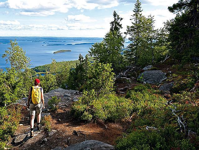 Wandern im Koli Nationalpark mit Blick auf den See Pielinen in Ostfinnland