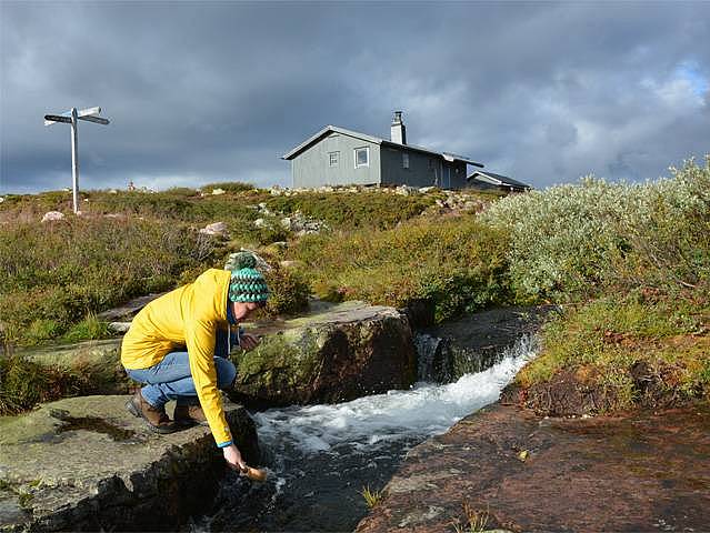 Eine Frau trinkt Wasser aus einem klaren Bach in Schweden