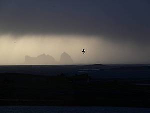 Stormwatching in Norwegen