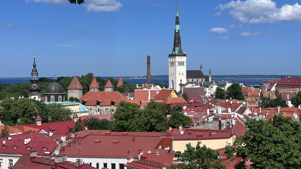 Blick über die Altstadt von Tallinn